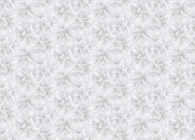 Серые обои с цветами Rasch Step-Up 316223
