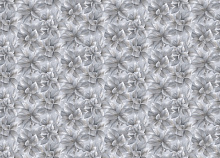 Серые обои с цветами Rasch Step-Up 316254