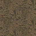 19040